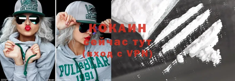 где можно купить наркотик  Алупка  COCAIN Fish Scale 